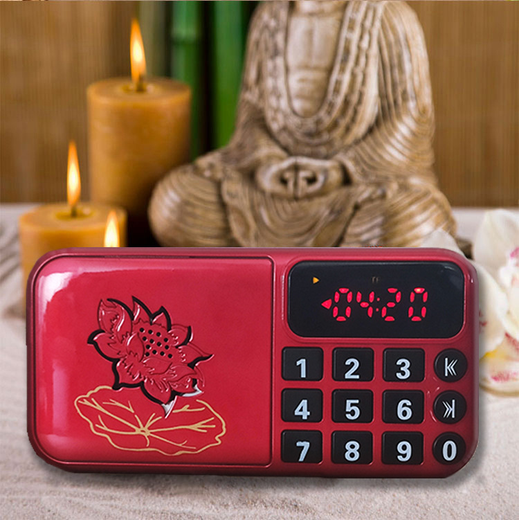 Double Lotus Digital Point Reading Traditional Culture Player HD-308