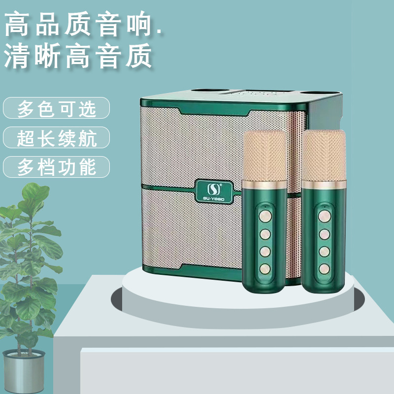 Một bữa tiệc ngoài trời với một micro không dây cho âm thanh YS-213 họ ktv