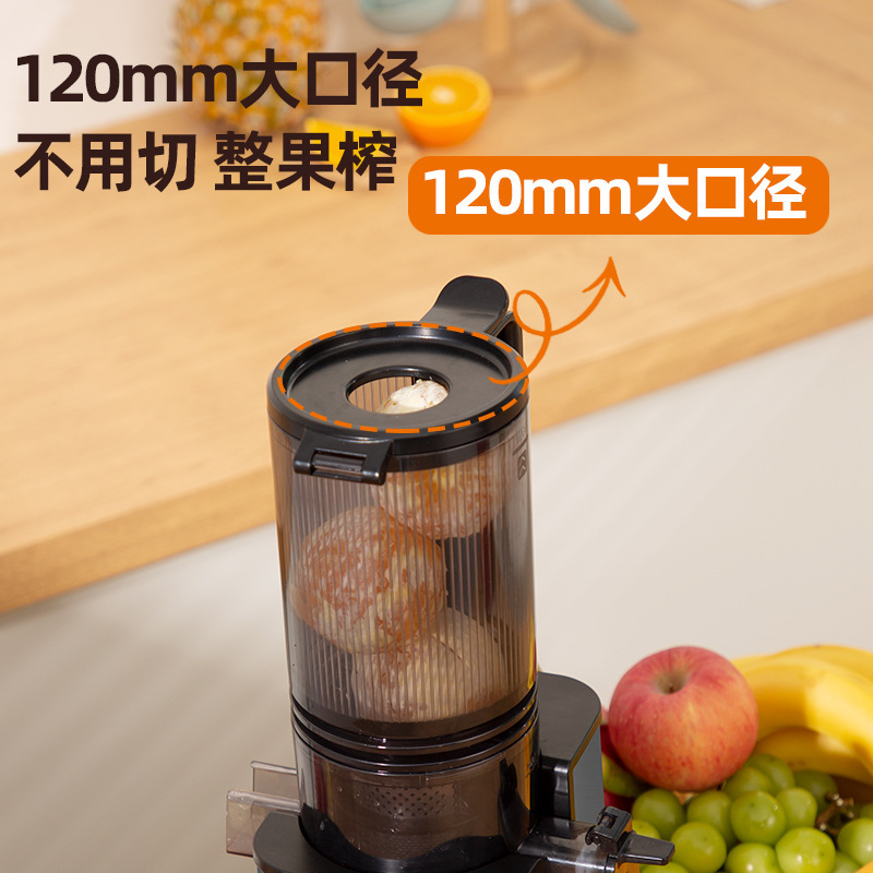 Customize cross-border juicer home slag juice to separate a fully automated, small, multi-functional, portable fruit-eat juice machine