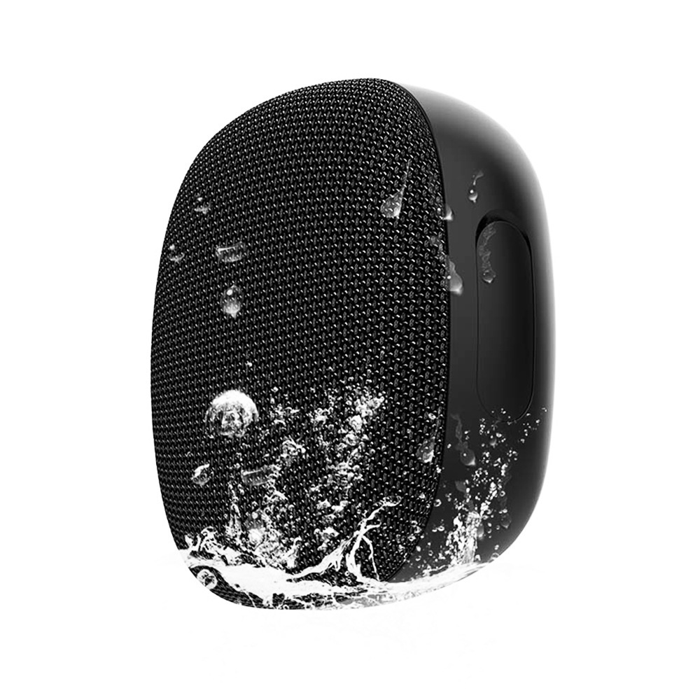 2024 bộ cắm bass nhỏ xách tay