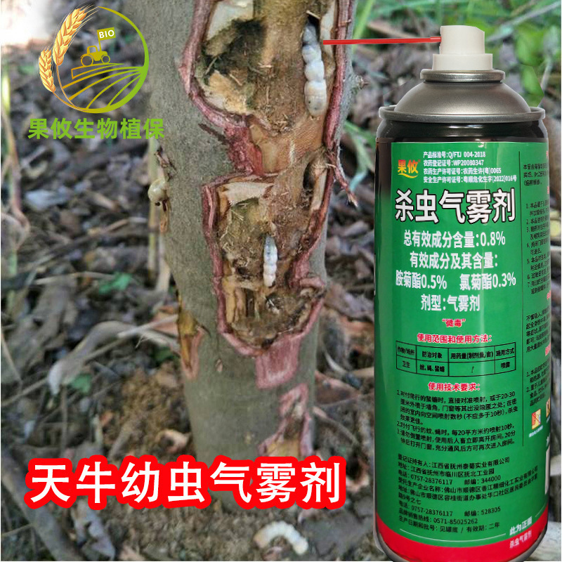Thuốc trừ sâu bọ, trái anh đào, anh đào, sâu bọ.