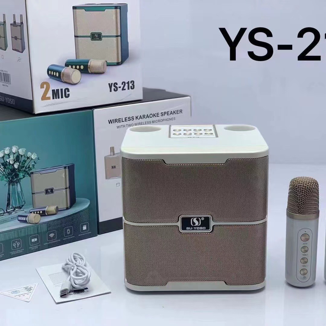 Một bữa tiệc ngoài trời với một micro không dây cho âm thanh YS-213 họ ktv