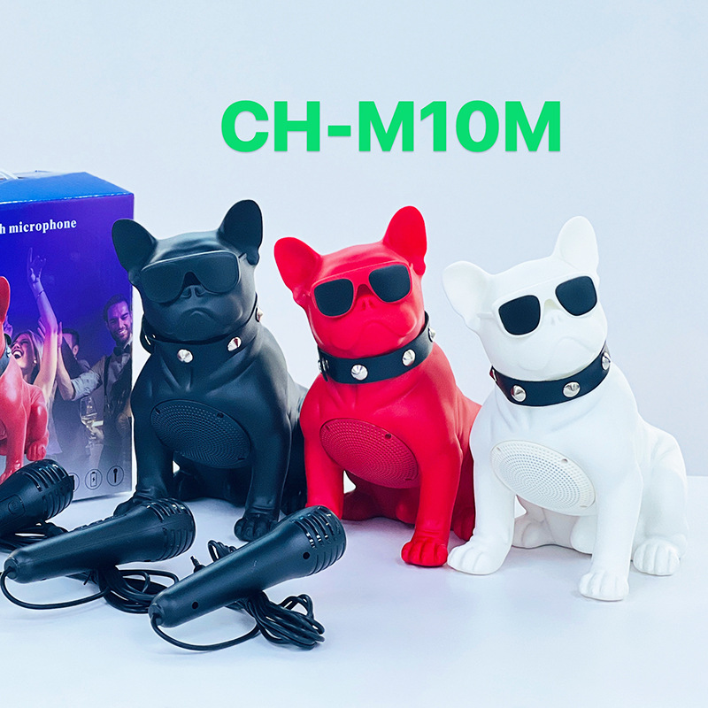 Nghe như là một phòng khách sáng tạo với micro và một hộp răng xanh không dây.