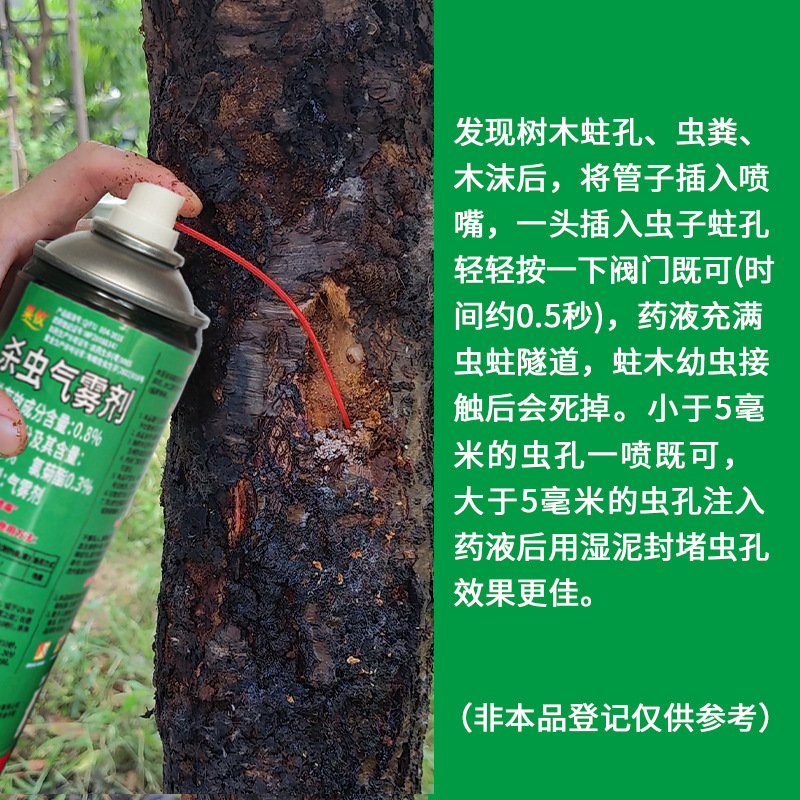 Thuốc trừ sâu bọ, trái anh đào, anh đào, sâu bọ.