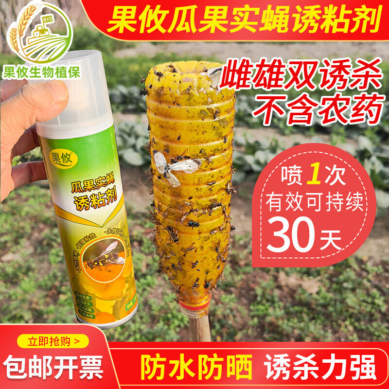Trái cây ăn quả guacamole, một loại côn trùng có túi, côn trùng côn trùng.
