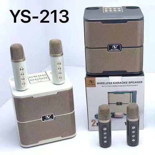 Một bữa tiệc ngoài trời với một micro không dây cho âm thanh YS-213 họ ktv