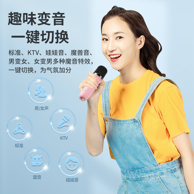 Một ngôi nhà mới Wireless bằng tiếng bass k-sang và micro với một hộp thoại ngoài trời.