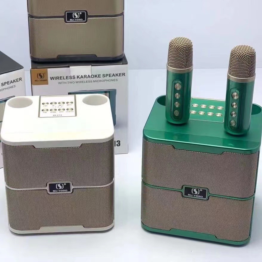 Một bữa tiệc ngoài trời với một micro không dây cho âm thanh YS-213 họ ktv