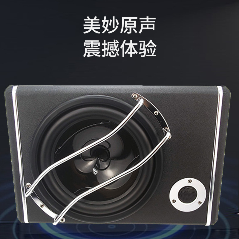 Tuỳ biến âm thanh xe với sức mạnh cao 10 inch, những người nói xe hơi với sự thay đổi âm thanh thấp