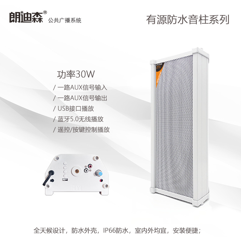 Rondison, 30w has a sound column called Usb Bluetooth.