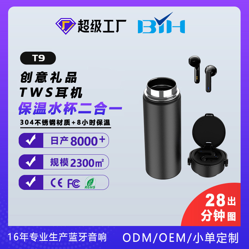 Cung cấp độc quyền điện thoại đầu vô tuyến TWS, 2x304, các hoạt động của công ty quà tặng thép không gỉ