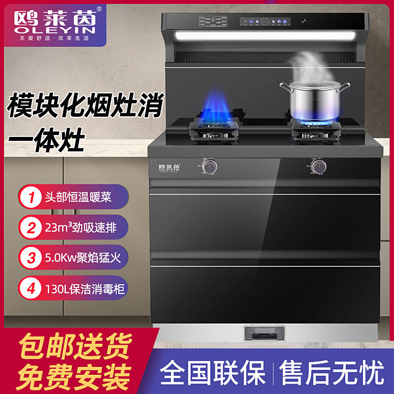 An integrated home-based gas-smoking gas stove with gas-based liquid gas-integrated stoves