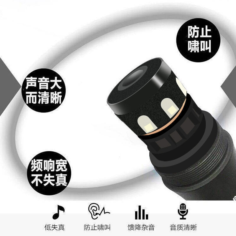 Nhà máy nguồn điện đã nối kết một phần mic và phát biểu tại hội nghị King K Song về micro bảo vệ giọng nói của Kobu.