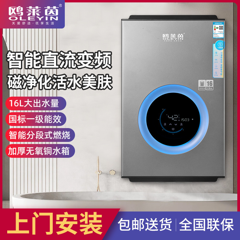 Cash wholesale, or heat 16L-liter gas hot water heater, with natural gas and heat, zero cold water heater