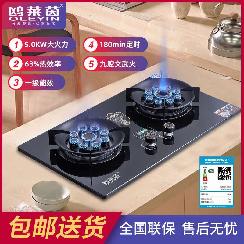 Two-to-one gas stove home with a two-purpose gas fixed-time Liquefied Gas set-up