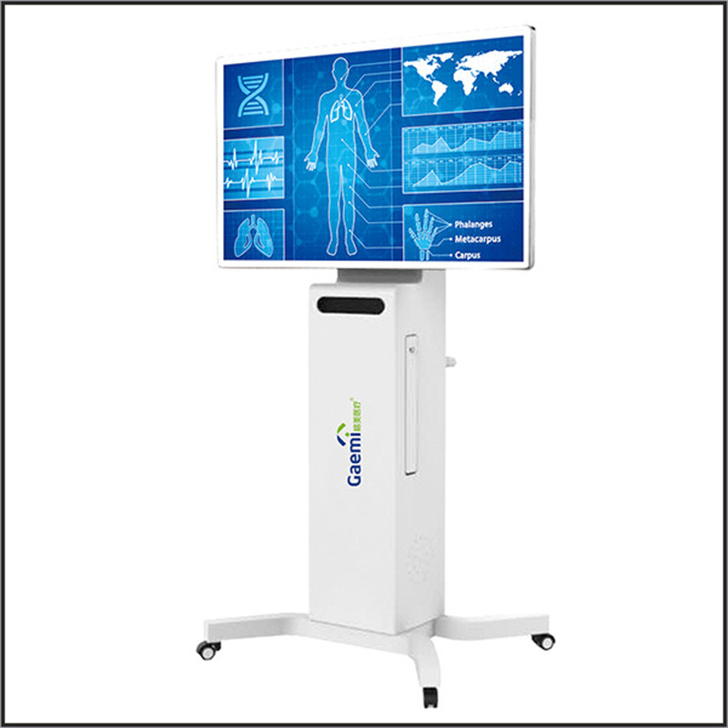 Gmémi's whole-body interactive assessment and training system