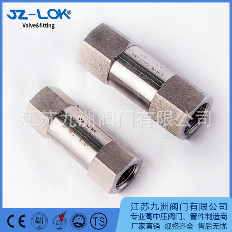 One-way valve, stainless steel high-pressure valve. H11X threaded valve. One-way valve.