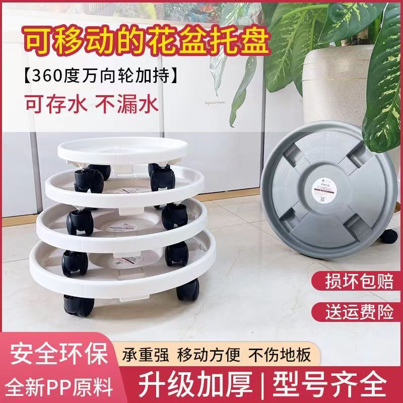 Khay hoa di động được đánh bóng để kết nối dù với một xương chậu nhựa có bánh xe