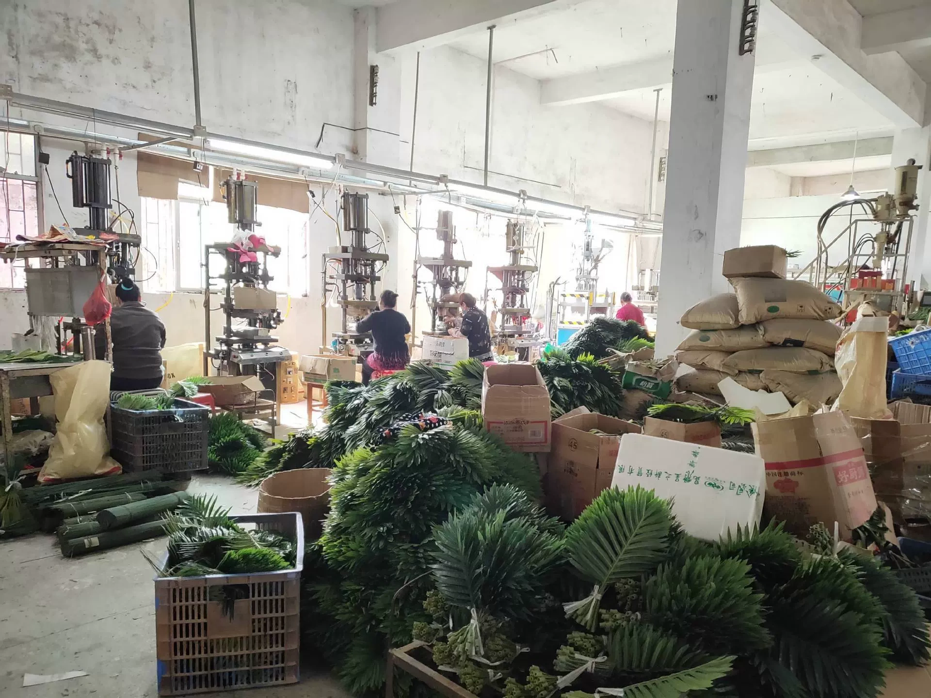 东莞市大朗绿艺仿真植物工艺品厂