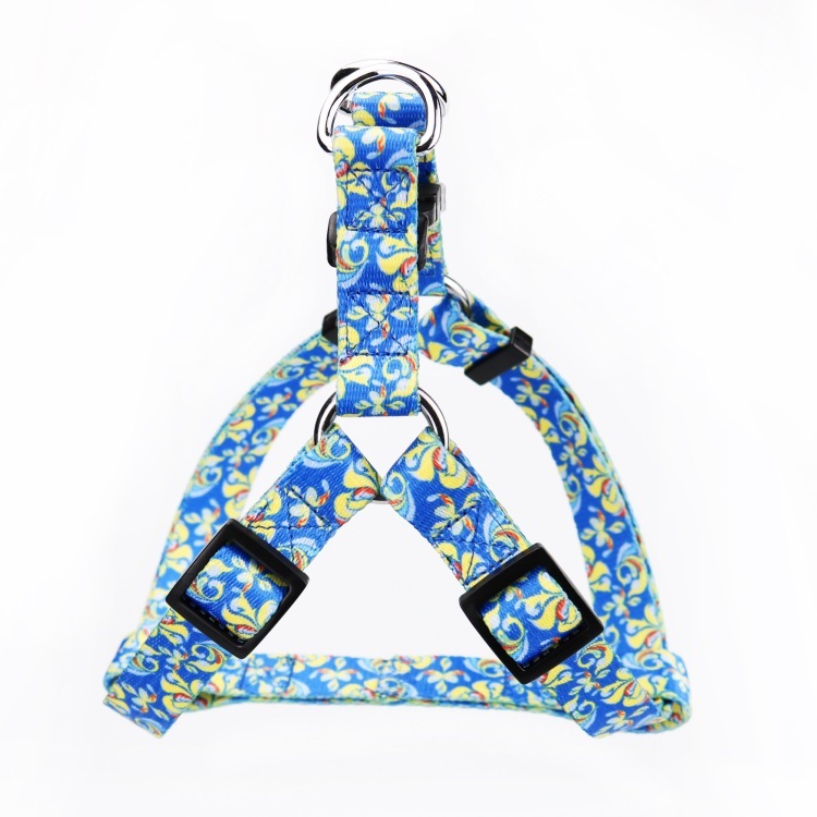 Customize dog pets' plaster belts to decorate their plasters.