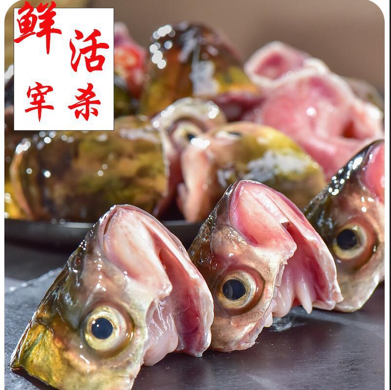 공장 판매 감기, 흰 물고기 입술 및 신선한, 냉동 흰 물고기 입술 공급.
