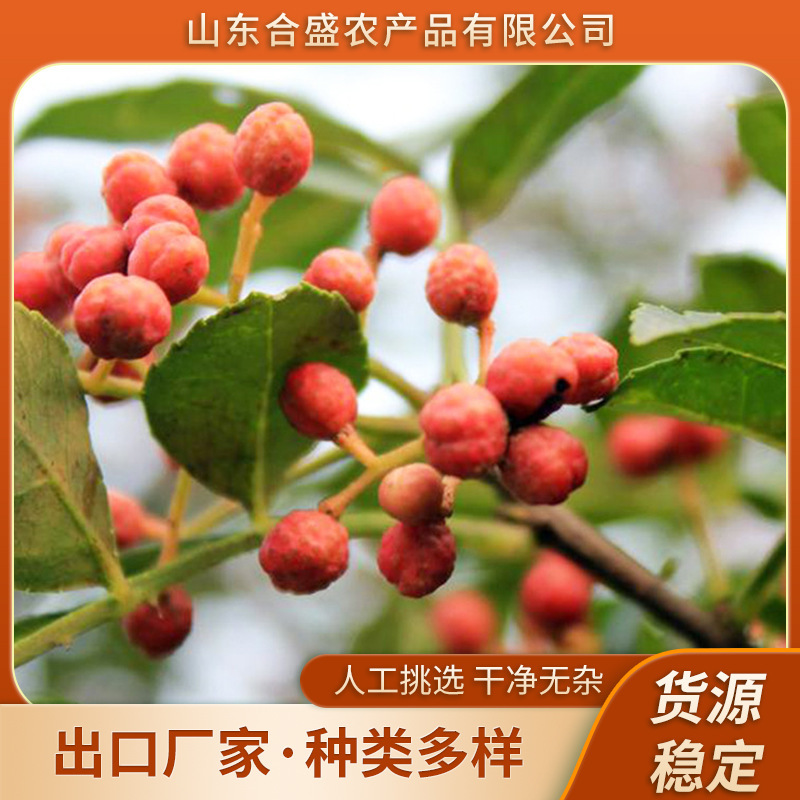 ♪ Hạt dẻ đỏ
