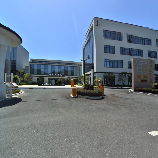 Hangzhou Yao Snack Food Co. Ltd.