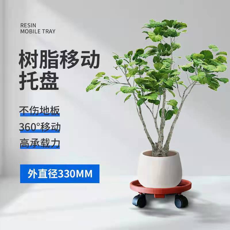 Nguồn tiền mặt của đĩa nhỏ được cung cấp cho cây trồng