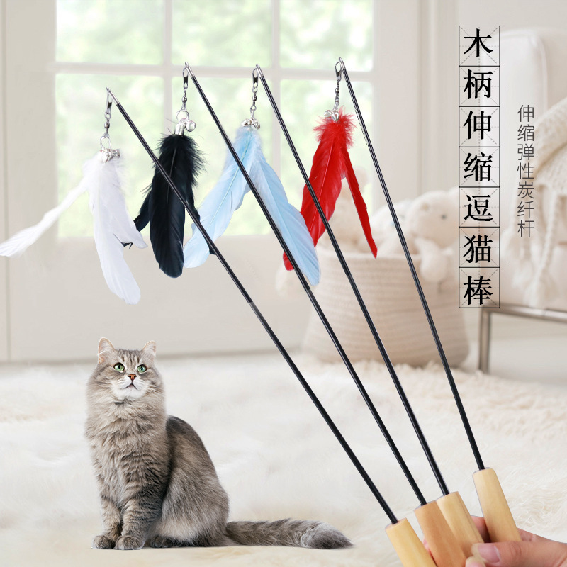 Cái cán gỗ mới kéo dài thanh mèo, lông vũ, chuông sặc sỡ, đồ chơi mèo, hàng rào sống.