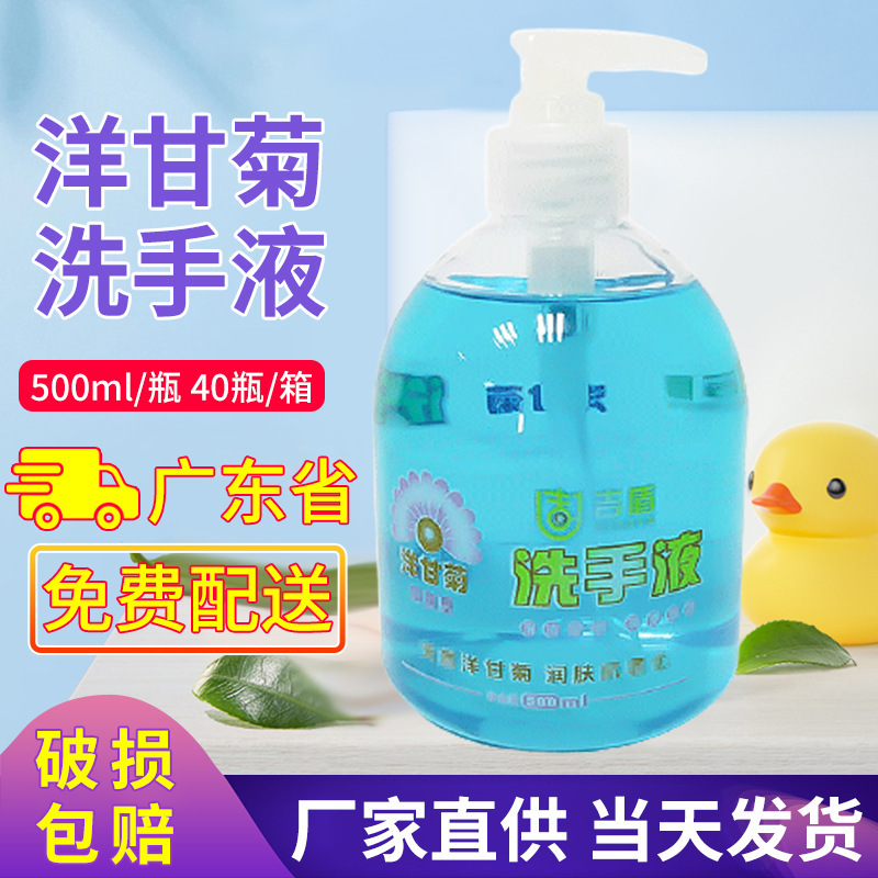 식물의 손 세척된 손 세척 액체는 젖은 적시고 청소합니다 손 세척 액체가 500 ml 글리세린을 헹구는 청결한 입니다.