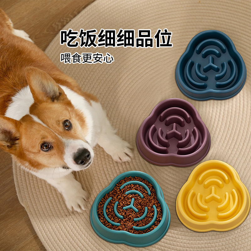 Thú cưng ăn chậm, chén chó, gấu Teddy.