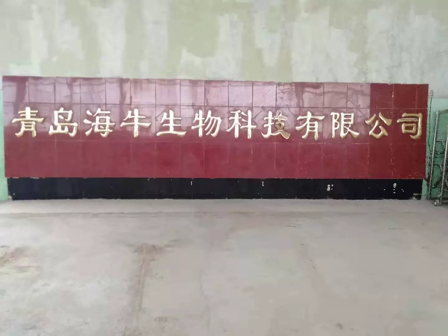 Công ty TNHH Công nghệ sinh học Sea Cow Thanh Đảo