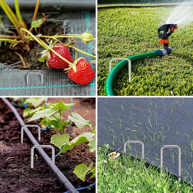 Mặt đất bị đóng đinh trên bãi cỏ và móng tay của nền văn hóa đóng đinh vào lòng đất.
