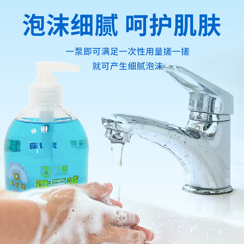식물의 손 세척된 손 세척 액체는 젖은 적시고 청소합니다 손 세척 액체가 500 ml 글리세린을 헹구는 청결한 입니다.