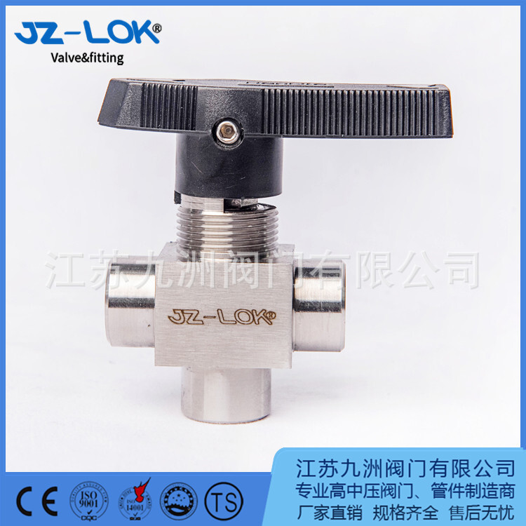 The stainless steel high-pressure valve.