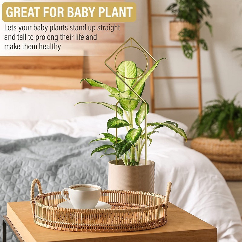Hàng chéo, nhà leo núi văn hóa horti, nông nghiệp horticic horticic horticic hortract, quần chúng nông nghiệp, Amazonia.