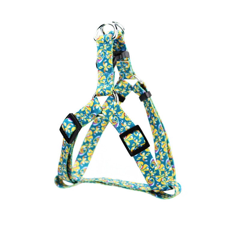 Customize dog pets' plaster belts to decorate their plasters.