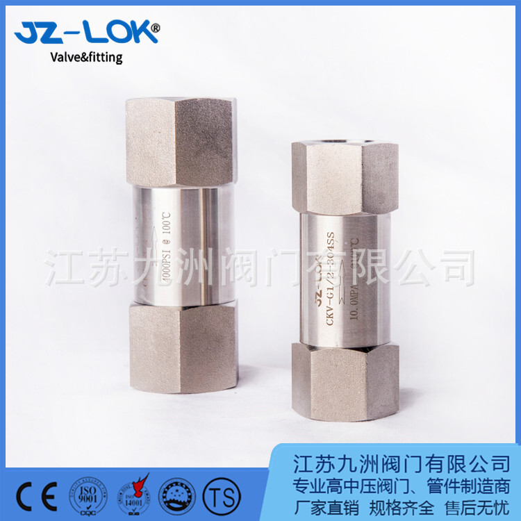 One-way valve, stainless steel high-pressure valve. H11X threaded valve. One-way valve.