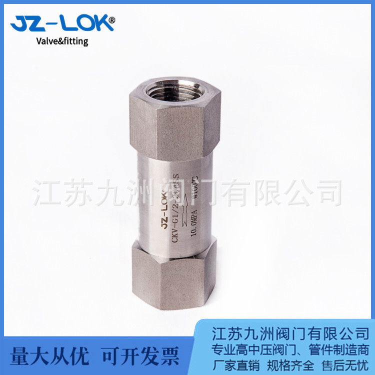 One-way valve, stainless steel high-pressure valve. H11X threaded valve. One-way valve.