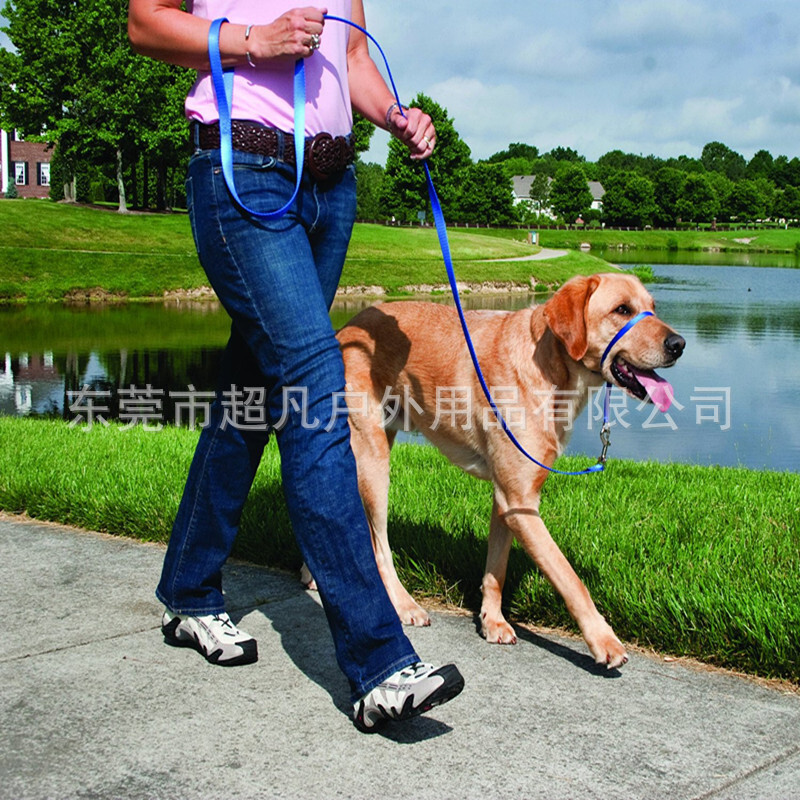 Thú cưng mới của Shenzhen được bán với giá thấp. Vòng Nasal buộc dây thừng.