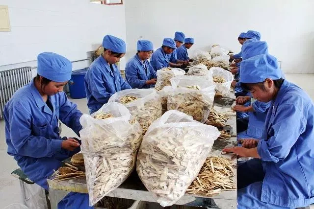 Zhuang County County Resourcess Ltd.