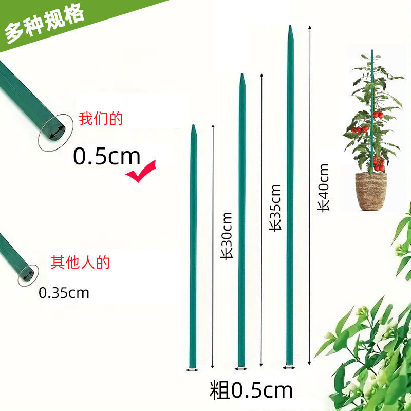 Cây tre trồng trong vườn mọc lên để hỗ trợ 5mm cây tre có vườn và những bó hoa xanh lá bên kia biên giới.