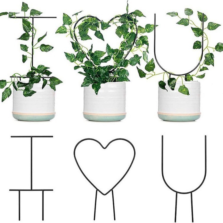 Việc sử dụng chéo hàng cây vườn hỗ trợ đứng lên để hỗ trợ các bó hoa hình trái tim cột làm vườn kim loại