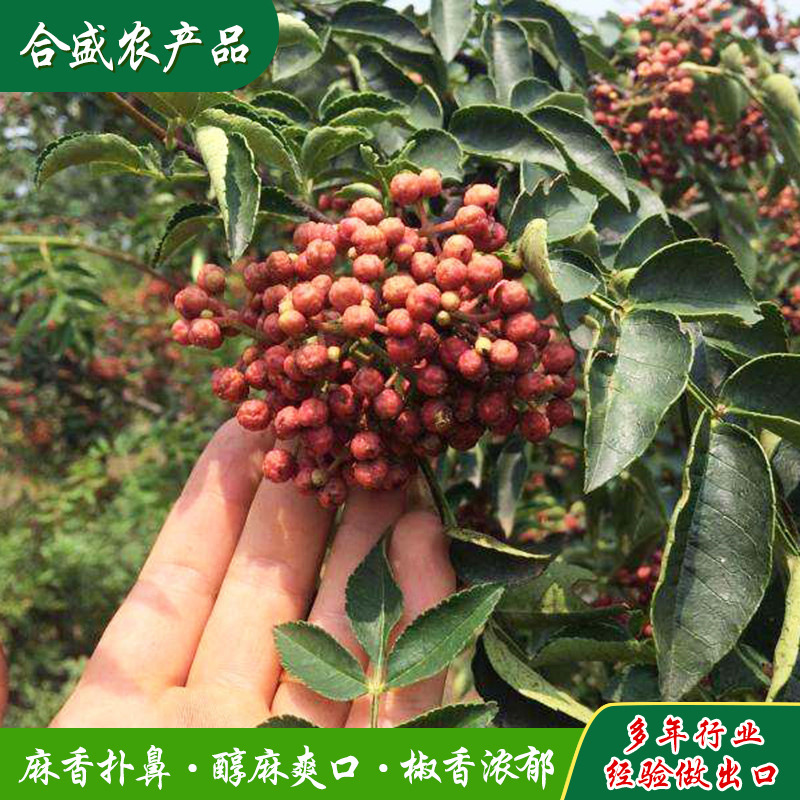 Ngoại thương Xuất khẩu Lẩu OEM Pie Pie Pie Pie Pie Pie Pie Pie Pie Pie