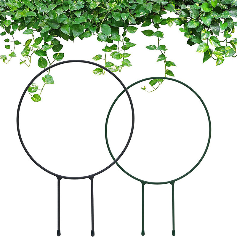 Những viên đá ngoài trời, cây cối leo lên, sáng tạo ủng hộ nền văn hóa nông nghiệp của các bó hoa, băng qua biên giới.