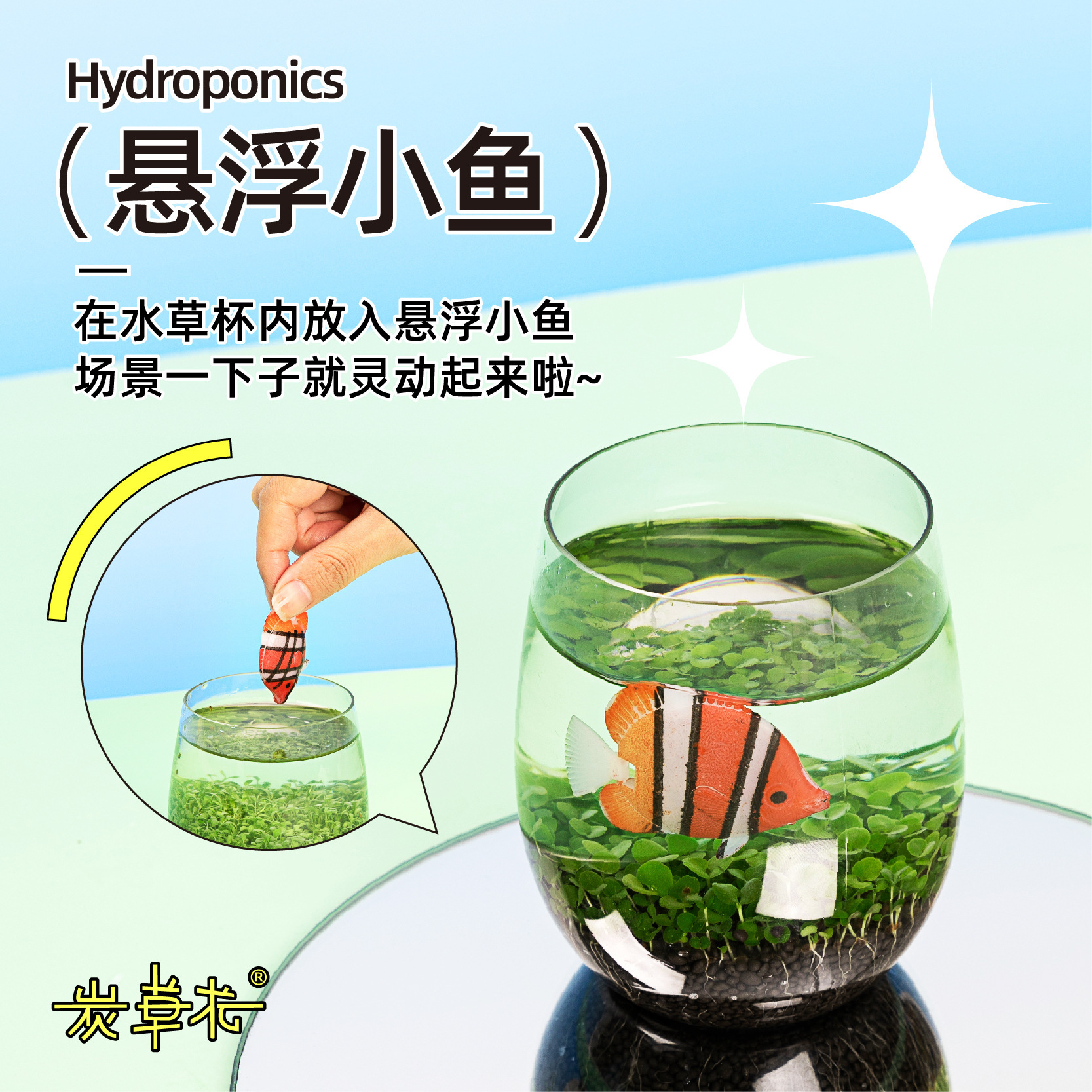 Bảng thủy tinh kết hợp các bình hạt cá xanh, và các nhà máy nhỏ được phân phối và tùy biến vào thị trường ban đêm.