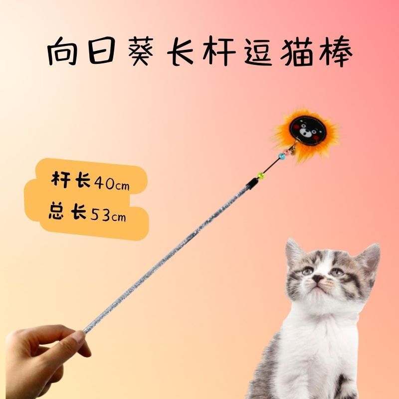 I'm going to give you a little bit of a handout for pets.