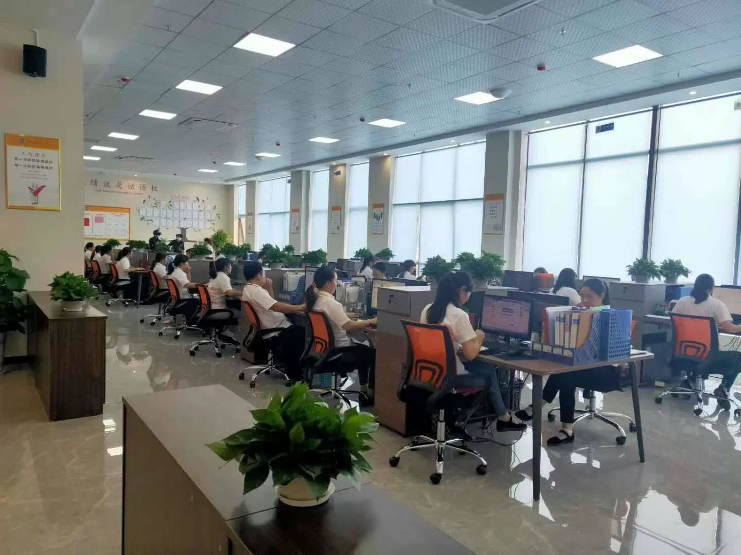 Ping Yu City Programme Technology Ltd.