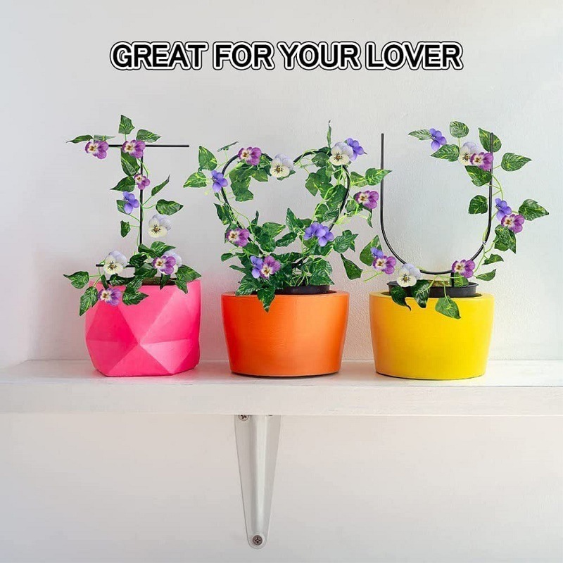 Việc sử dụng chéo hàng cây vườn hỗ trợ đứng lên để hỗ trợ các bó hoa hình trái tim cột làm vườn kim loại