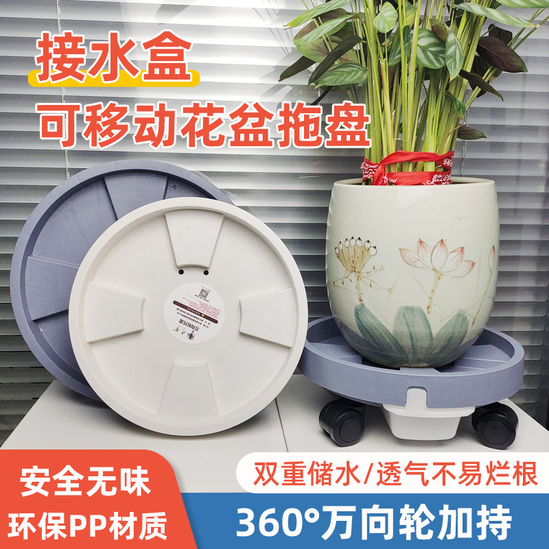 Không có gì ở dưới mỏ lết.